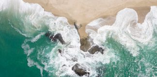 Spotlight – Melinda Davala Sarkis