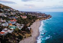 What You Get for Your Money